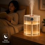 2L Dual-Nozzle Ultrasonic Humidifier Powered By USB