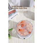 Salt Crystal Aromatherapy Diffuser LED Ambient Light Ultrasonic Mist Scent