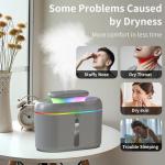 2L Cool Mist Humidifier with Dual Nozzles and Night Light