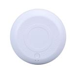 Portable Ozone Air Purifier for Car and Home