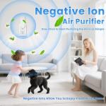 Plug-in Negative Ion Air Purifier & Odor Eliminator