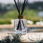 Room Diffusers (reed)