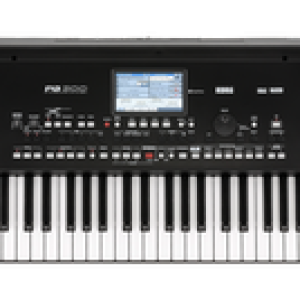 KORG PA300 Workstation Keyboard