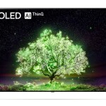 LG 55 A1 4K Self-Lit OLED Smart ThinQ TV (2021)