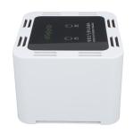 WiFi Smart Air Purifier with APP Control