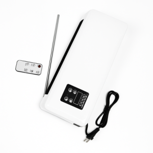 Wall-Mounted Air Conditioner with Remote Control