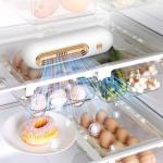 Refrigerator Deodorizer With Ozone Disinfection