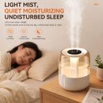 3.8L Dual Spray Cool Mist Humidifier Diffuser with Night Light