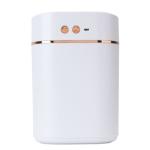 Air Humidifier 3L Double Spray USB Powered Desk Humidifier with Light