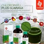 LIQUID CHLOROPHYLL PLUS GUARANA